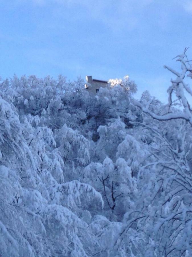 Nido Del Nibbio Bed & Breakfast Subiaco Eksteriør bilde